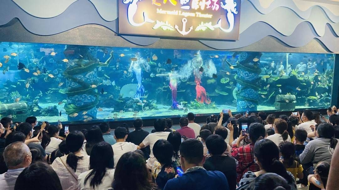 周口水族館vs祥龍魚場（周口水族館和祥龍魚場）