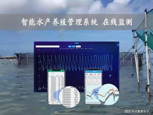 如何判斷魚類是否出現暗浮頭，如何判斷魚類是否嚴重浮頭