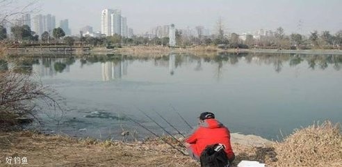 家里客廳養4條金魚好嗎：家里客廳養4條金魚好嗎風水好嗎