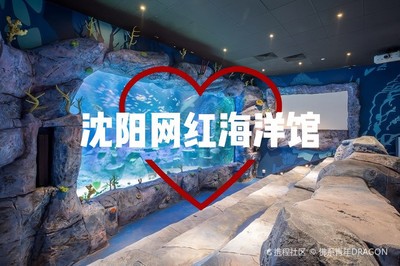 家里放什么招財(cái)：家里放什么招財(cái)聚財(cái)
