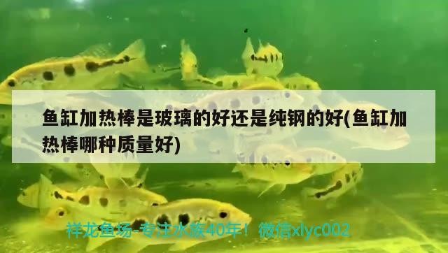 魚缸加熱棒是玻璃的好還是純鋼的好(魚缸加熱棒哪種質(zhì)量好)