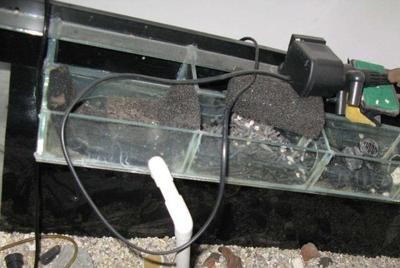 創(chuàng)寧水泵廠家電話地址是多少（創(chuàng)寧水泵廠家電話地址是多少號）