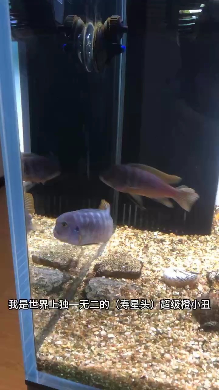 2024-10-03新加入的成員