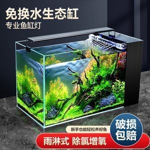 加州鱸魚養殖方法與技術：加州鱸魚養殖方法與技術視頻
