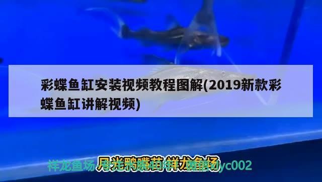 彩蝶魚缸安裝視頻教程圖解(2019新款彩蝶魚缸講解視頻)