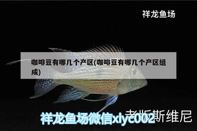 咖啡豆有哪幾個產區(咖啡豆有哪幾個產區組成)