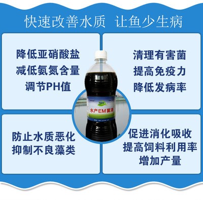 鯽魚喂什么給它吃：鯽魚喂生米還是熟米