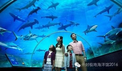 孝感水族館vs祥龍魚場（孝感水族館和祥龍魚場各有特點，選擇哪一個取決于您的興趣和需求）