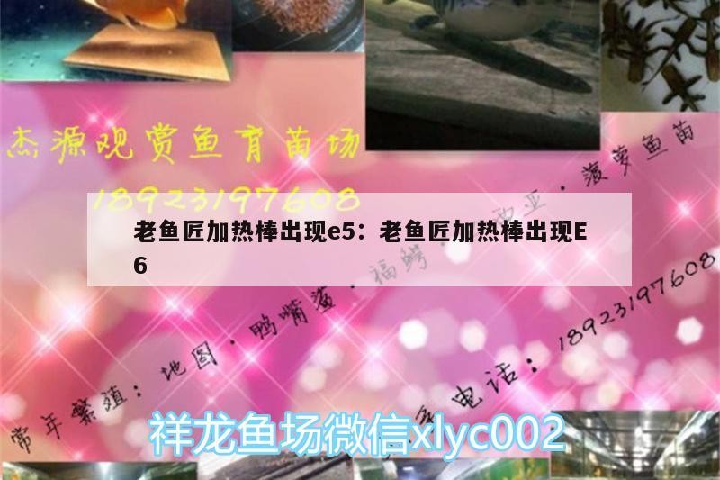 老魚匠加熱棒出現e5:老魚匠加熱棒出現E6