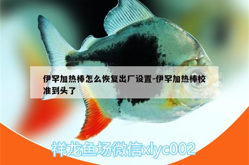 伊罕加熱棒怎么恢復出廠設置:伊罕加熱棒校準到頭了