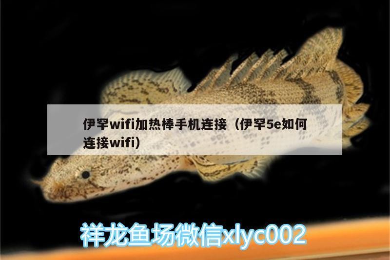 伊罕wifi加熱棒手機連接（伊罕5e如何連接wifi）