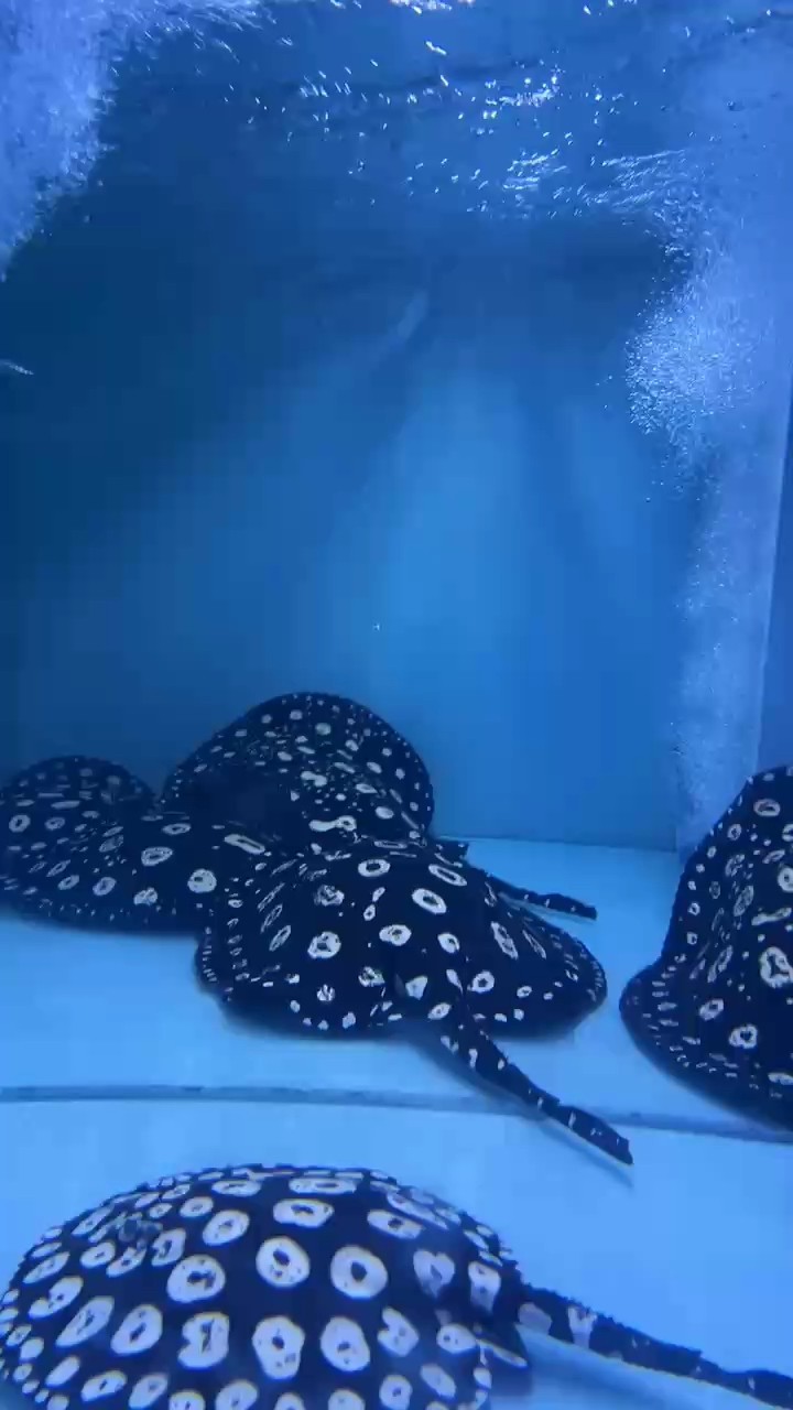 深夜換換水