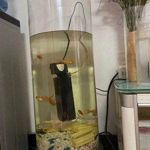 1.2米魚缸用多厚的玻璃管呢：1.2米魚缸玻璃厚度怎么選？ 1.2米魚缸用多厚的玻璃管呢：1.2米魚缸玻璃厚度怎么選？ 魚缸百科 第2張