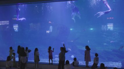 三明水族館vs祥龍魚場（三明水族館和祥龍魚場）