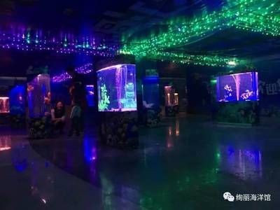 三明水族館vs祥龍魚場（三明水族館和祥龍魚場）