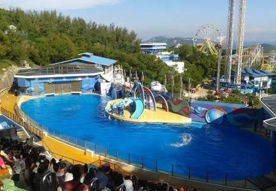 三明水族館vs祥龍魚場（三明水族館和祥龍魚場）