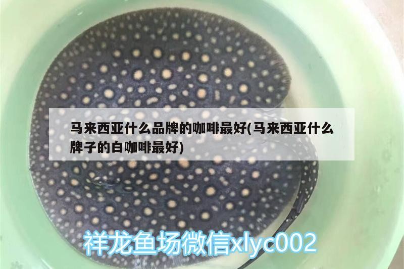 馬來(lái)西亞什么品牌的咖啡最好(馬來(lái)西亞什么牌子的白咖啡最好)