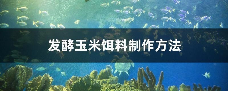 印尼小紅龍魚價格走勢如何分析：印尼小紅龍魚價格走勢分析