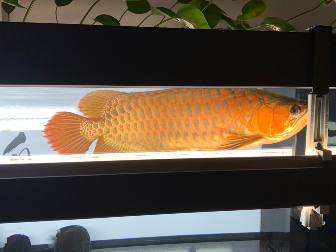 更新一下！越來越懶了。