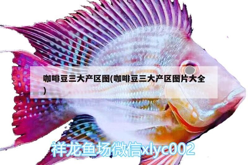 魚缸用增氧泵價格是多少:魚缸增氧機-xtrac增氧機-xtrac增氧機 咖啡豆三大產區圖(咖啡豆三大產區圖片大全) 馬來西亞咖啡 咖啡豆三大產區圖(咖啡豆三大產區圖片大全) 咖啡豆三大產區圖(咖啡豆三大產區圖片大全) 馬來西亞咖啡