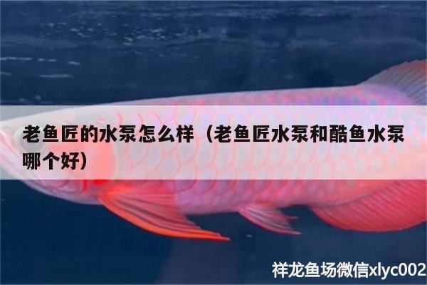 老魚匠的水泵怎么樣（老魚匠水泵和酷魚水泵哪個好） 老魚匠的水泵怎么樣（老魚匠水泵和酷魚水泵哪個好） 老魚匠