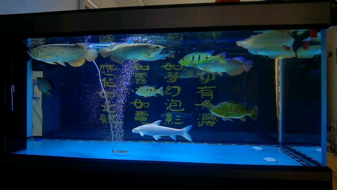 沒(méi)啥說(shuō)的