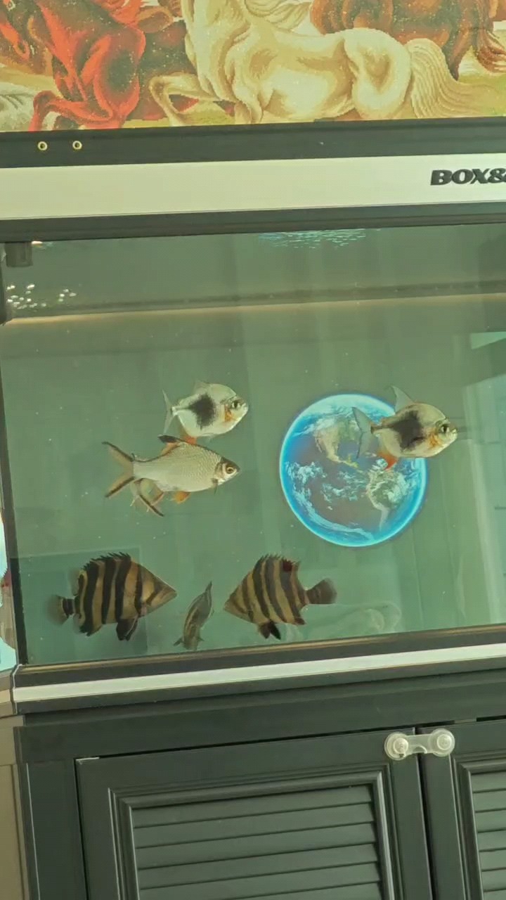 打打更健康