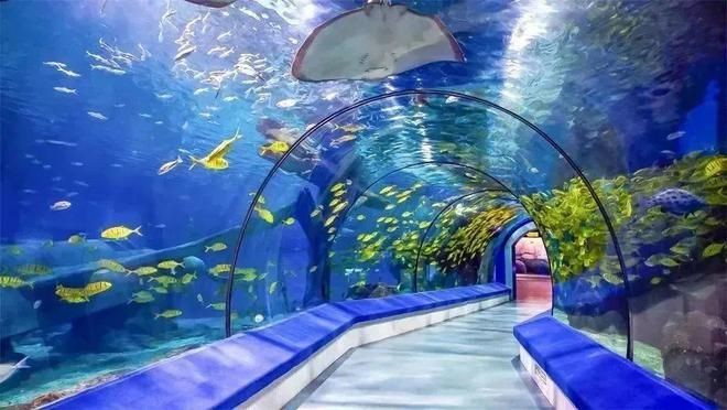 潮州水族館vs祥龍魚場(chǎng)（潮州水族館和祥龍魚場(chǎng)）