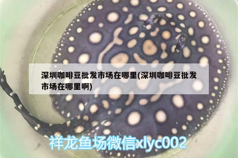 深圳咖啡豆批發市場在哪里(深圳咖啡豆批發市場在哪里啊)