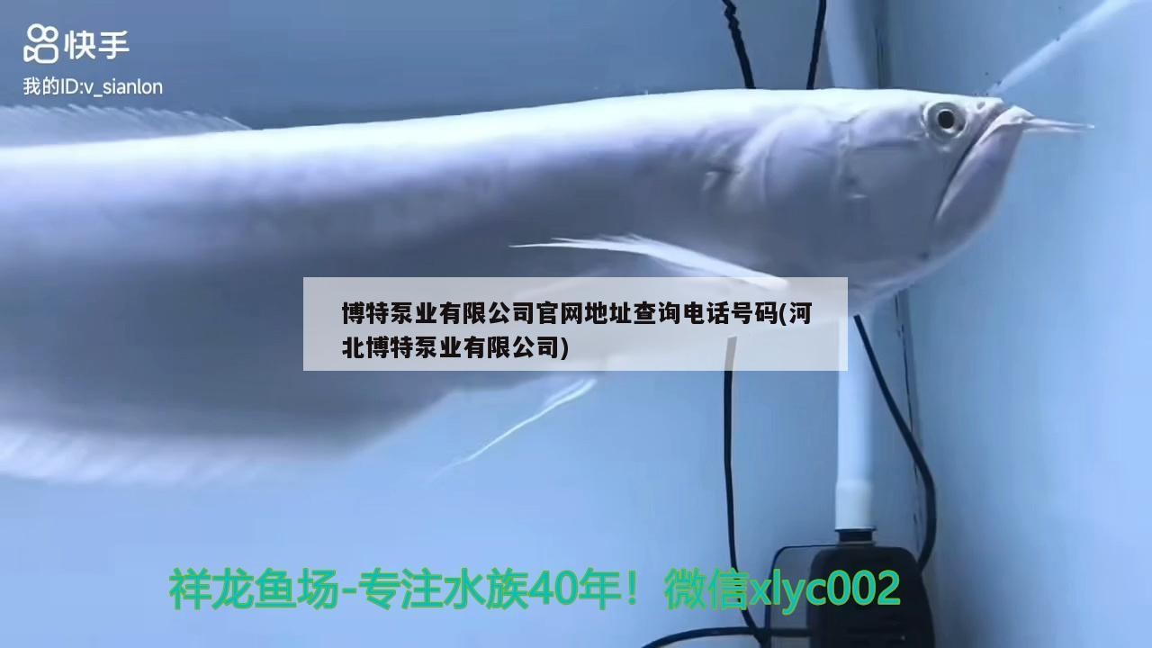 博特泵業有限公司官網地址查詢電話號碼(河北博特泵業有限公司)