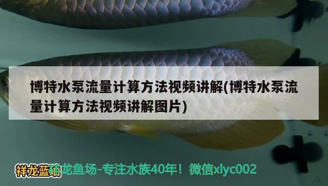 博特水泵流量計算方法視頻講解(博特水泵流量計算方法視頻講解圖片)
