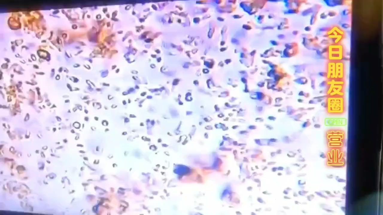 博特水泵e6報錯 需要換貨嗎怎么解決：博特水泵e6報錯需要換貨嗎