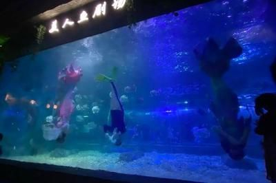 海口水族館vs祥龍魚場（海口水族館與祥龍魚場哪個好）