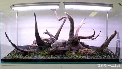 35cm魚缸造景：35cm的魚缸造景需要注意事項(xiàng)魚缸造景需要注意事項(xiàng)