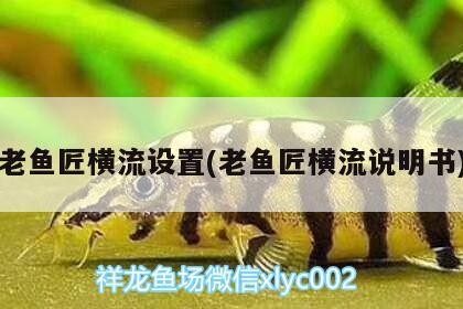 老魚匠橫流設置(老魚匠橫流說明書)
