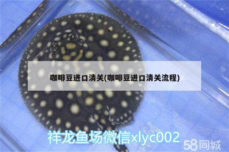 咖啡豆進口清關(咖啡豆進口清關流程)