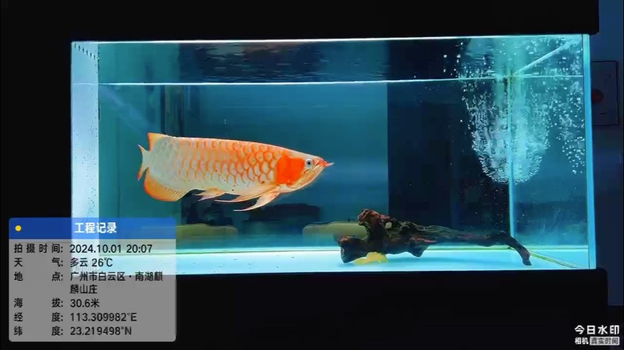 舉國同慶，國泰民安！