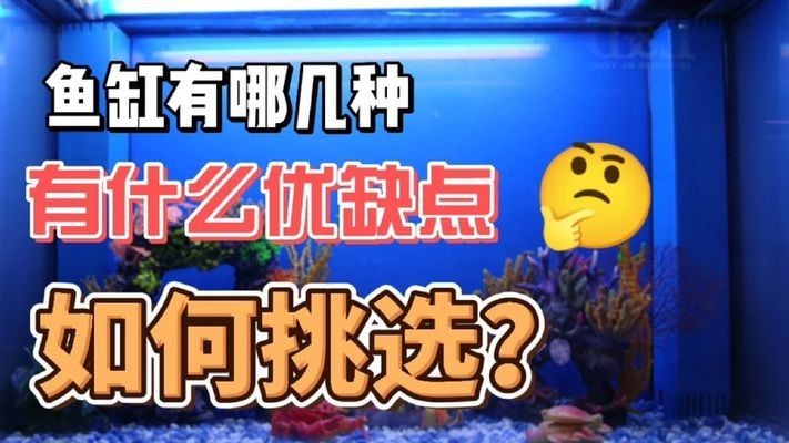 創寧創星森森魚缸泵那個靜音（創寧超靜音魚缸水泵）