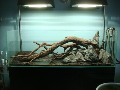 50厘米魚缸造景圖片：50厘米小缸溪流造景教程