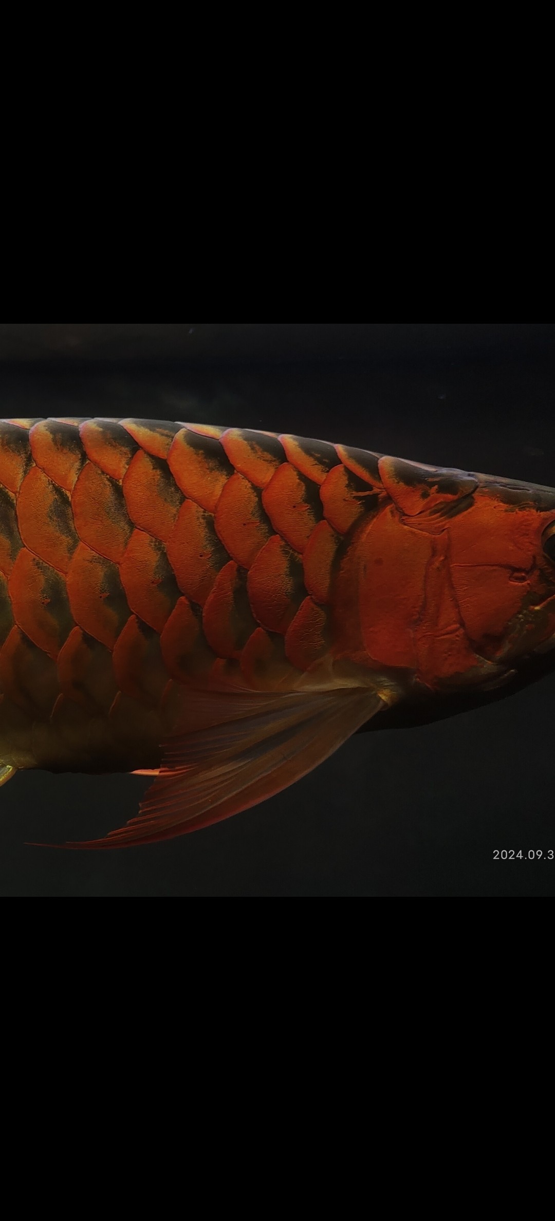 好久沒關心他了