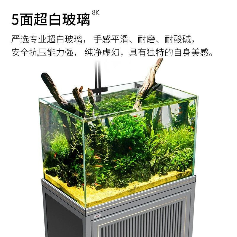 100魚缸過濾：100魚缸過濾系統選擇