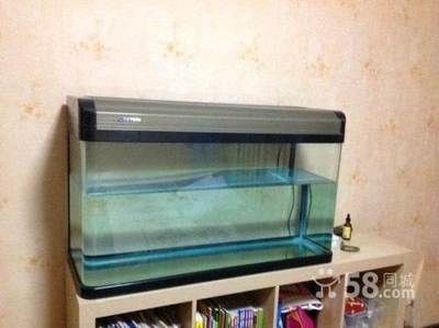 100魚缸過濾：100魚缸過濾系統選擇