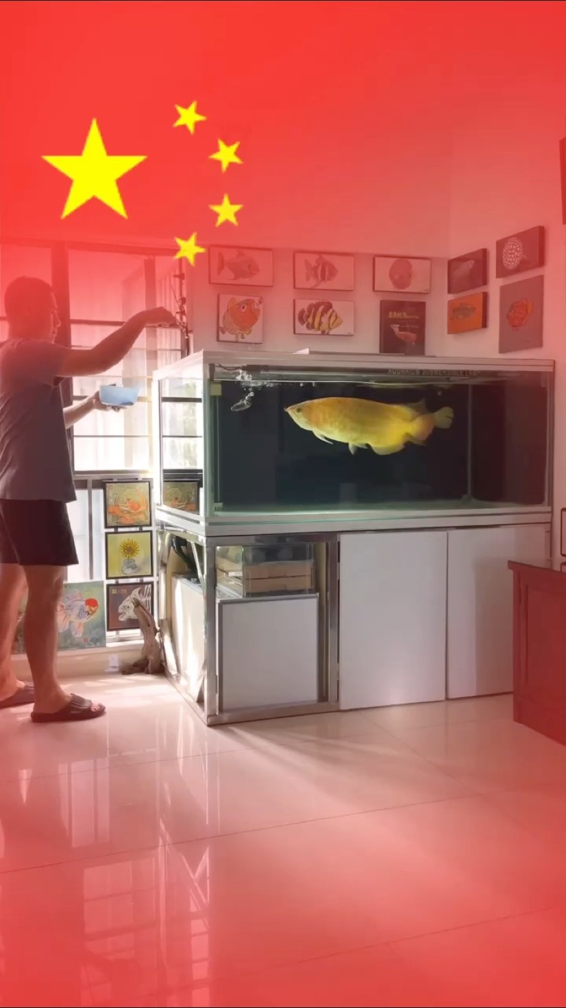 國慶加餐！