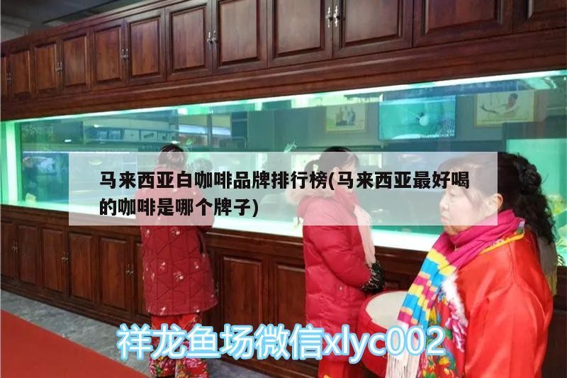 馬來西亞白咖啡品牌排行榜(馬來西亞最好喝的咖啡是哪個牌子)
