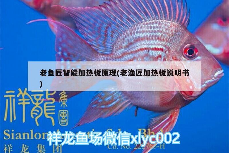 老魚匠智能加熱板原理(老漁匠加熱板說明書)
