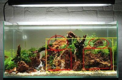 90cm魚缸造景