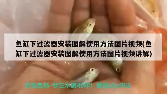 伊罕濾桶水流越來越小：伊罕過濾桶出水口位置