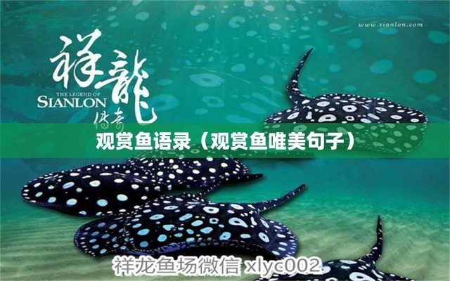 龍魚搖頭張嘴什么情況會死（龍魚搖頭張嘴什么情況會死亡）