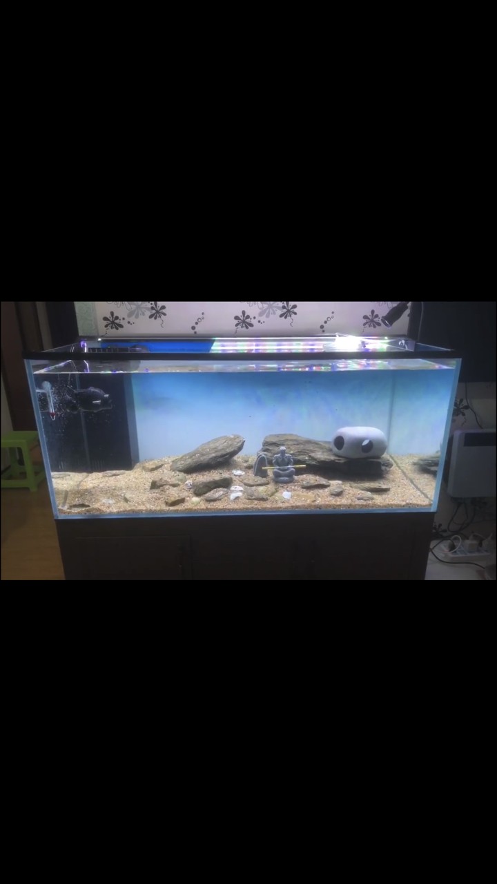 開缸