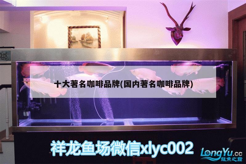 十大著名咖啡品牌(國內著名咖啡品牌) 十大著名咖啡品牌(國內著名咖啡品牌) 馬來西亞咖啡